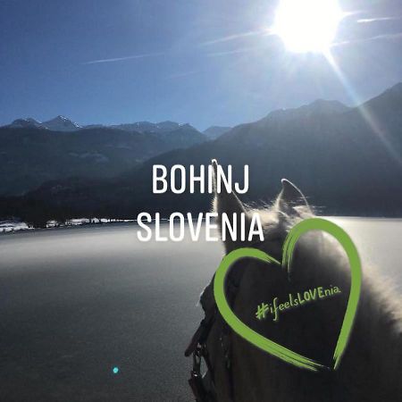 Ucni Ranc, Bohinj Leilighet Eksteriør bilde