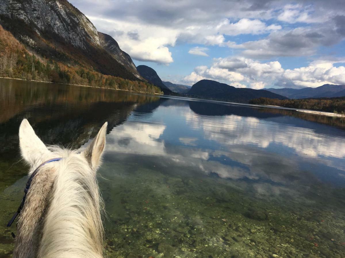 Ucni Ranc, Bohinj Leilighet Eksteriør bilde