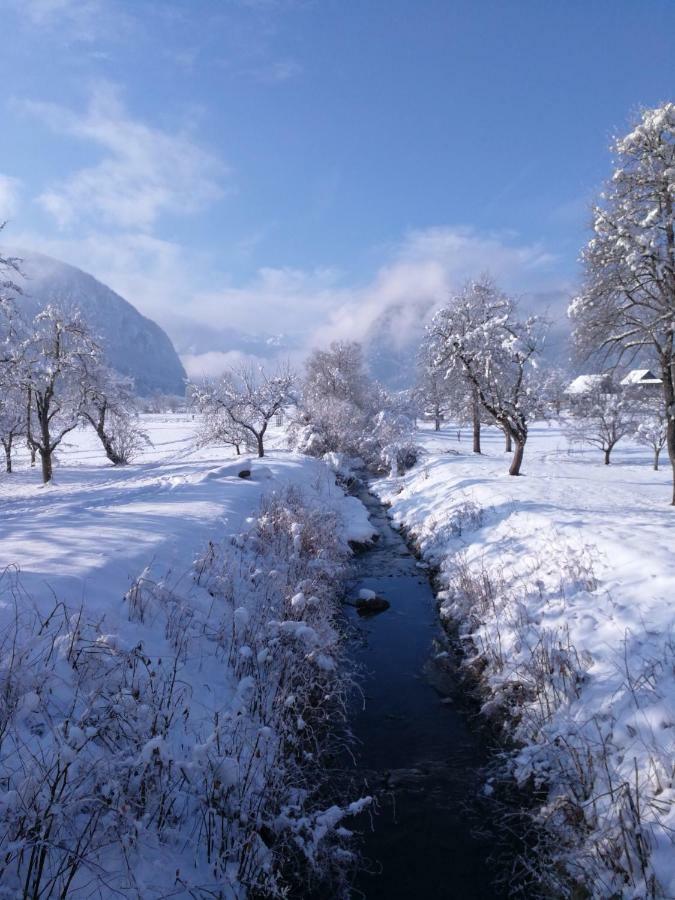 Ucni Ranc, Bohinj Leilighet Eksteriør bilde