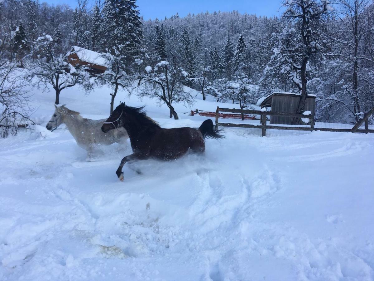 Ucni Ranc, Bohinj Leilighet Eksteriør bilde